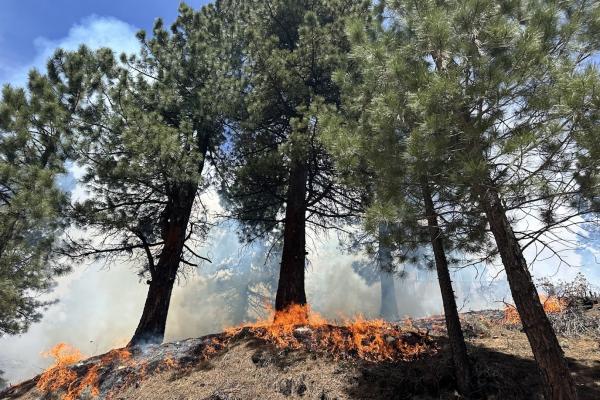 WHY A LOCAL PBA IS ESSENTIAL